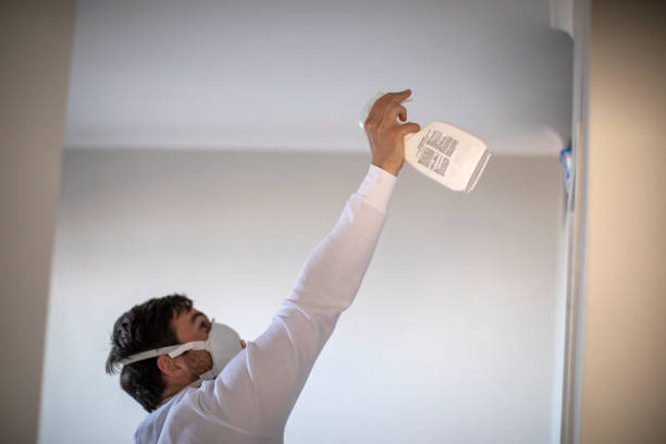 Best Black Mold Removal  in Waynesboro, MS