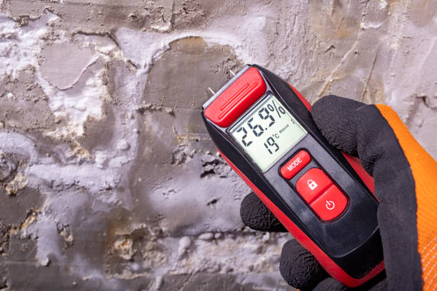 Best Residential Mold Removal  in Waynesboro, MS