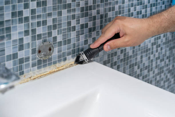 Best Attic Mold Removal  in Waynesboro, MS